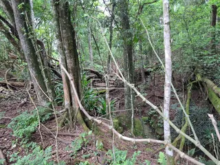 Área rural, foto 8