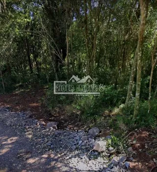 Terreno, foto 5