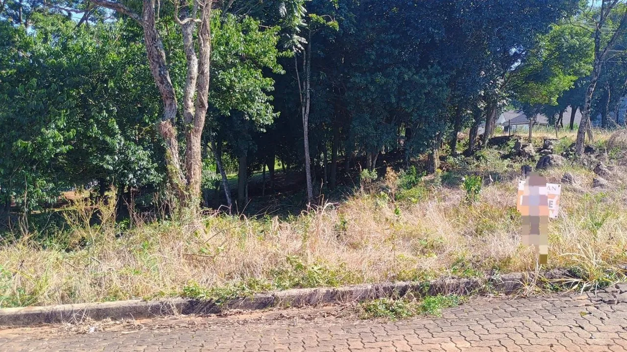 Terreno, foto 1
