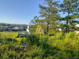Terreno, foto 3
