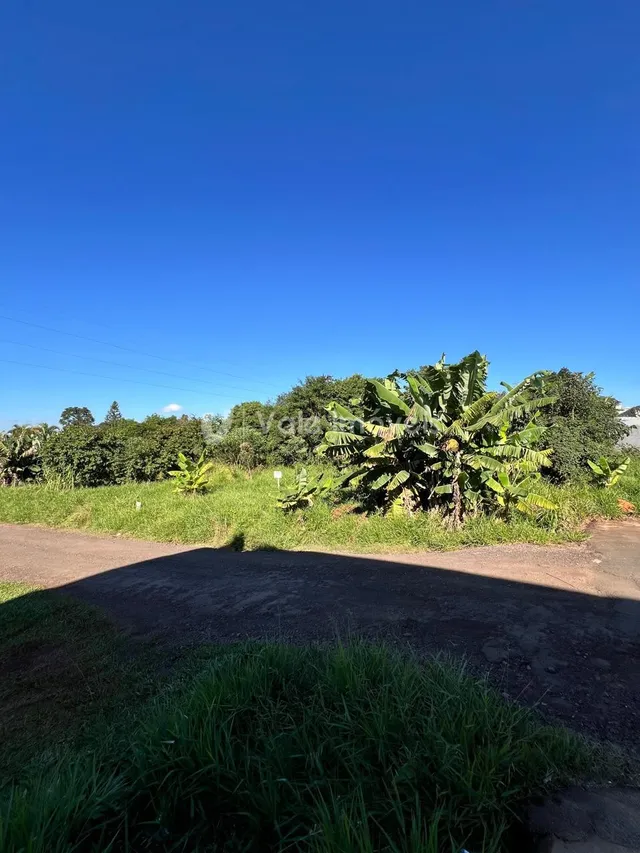 Terreno, foto 1