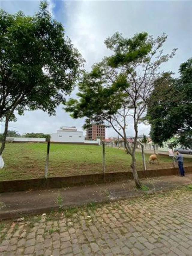 Terreno, foto 3
