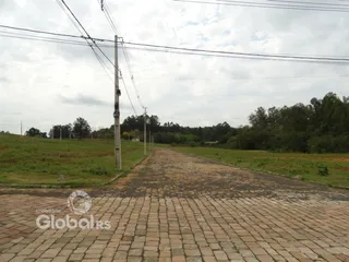 Vista da estrada de acesso à propriedade em Lajeado.