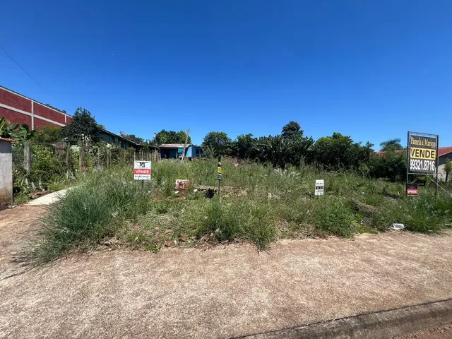 Terreno, foto 3