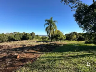 Paisagem de campo com grama e árvores sob um céu azul.