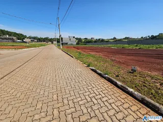 Terreno, foto 4