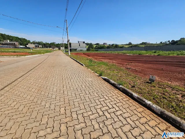 Terreno, foto 4