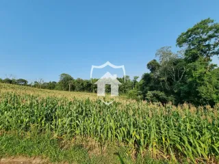 Área rural, foto 7