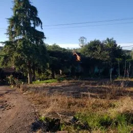 Vista externa de uma área de terreno com vegetação seca em Lajeado, Brasil.