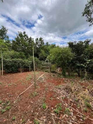 Casa com 3 dormitórios, foto 8