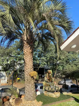 Casa com 3 dormitórios, foto 6