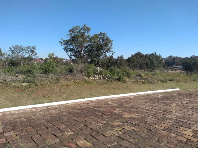 Terreno, foto 3