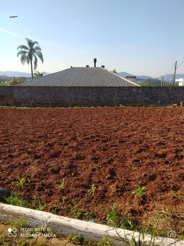 Terreno, foto 5