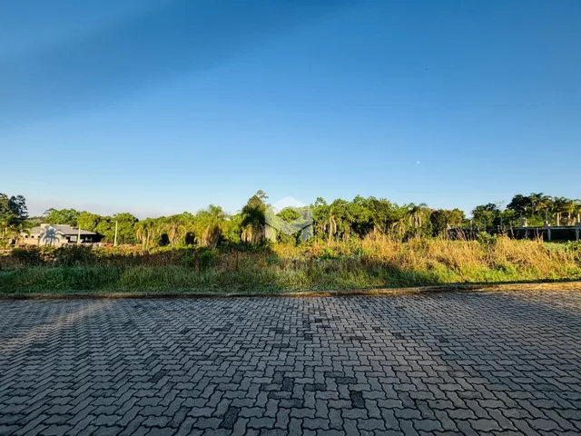 Vista da propriedade com área pavimentada e vegetação ao fundo.