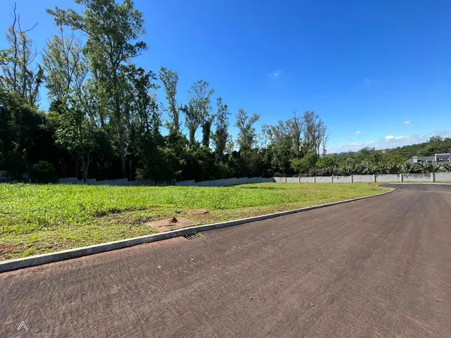 Terreno, foto 2