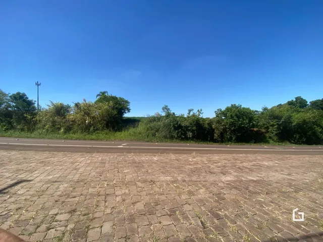 Vista da paisagem com vegetação e estrada no exterior da propriedade.