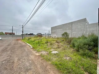 A foto mostra uma estrada de terra ao lado de uma parede de concreto.