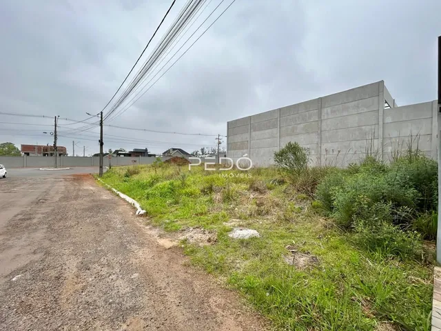 A foto mostra uma estrada de terra ao lado de uma parede de concreto.