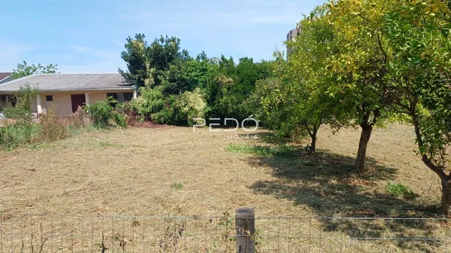 Vista externa de um terreno com vegetação seca e cerca de arame.