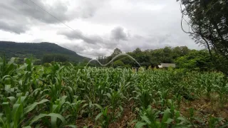Área rural, foto 5