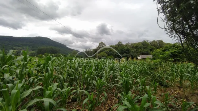 Área rural, foto 5