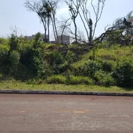 Vista externa de vegetação e área aberta em Lajeado, Brasil.