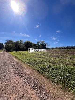 Uma estrada de terra leva a um campo de vegetação verde sob um céu azul.