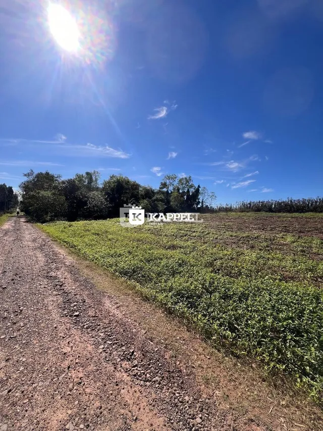 Uma estrada de terra leva a um campo de vegetação verde sob um céu azul.