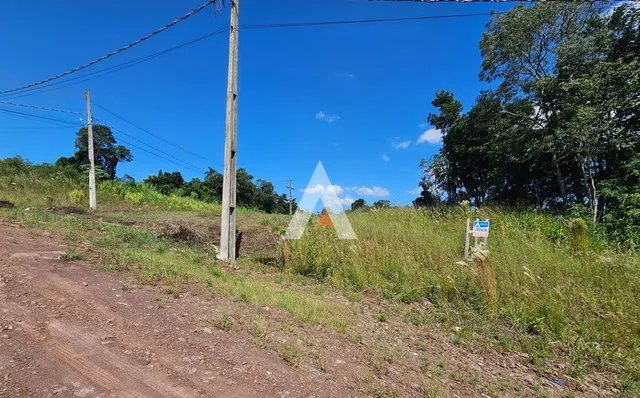 Terreno, foto 2