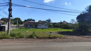 Terreno, foto 6