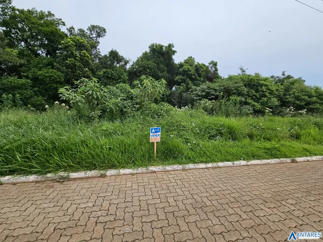 Terreno, foto 2