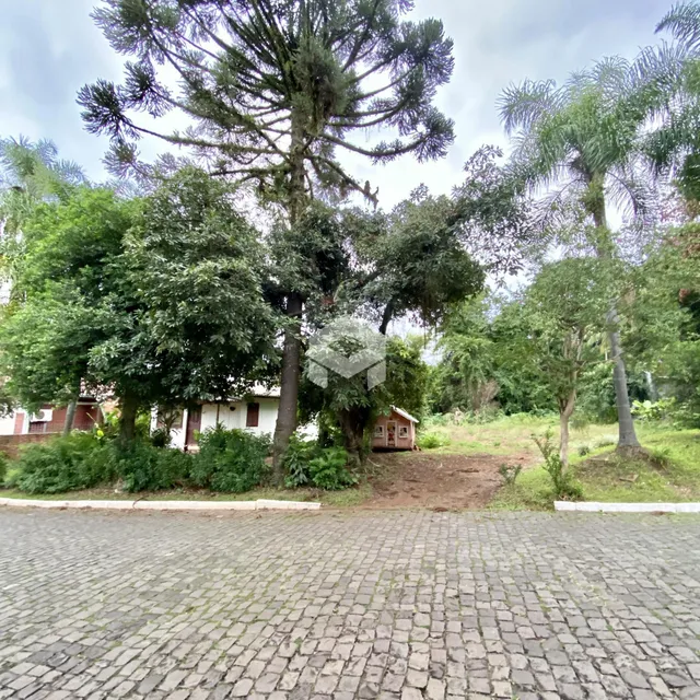 Terreno, foto 2
