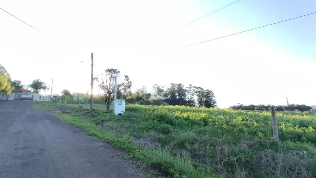 Terreno, foto 3