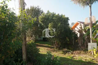 Terreno, foto 2