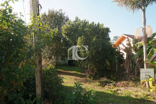 Terreno, foto 2