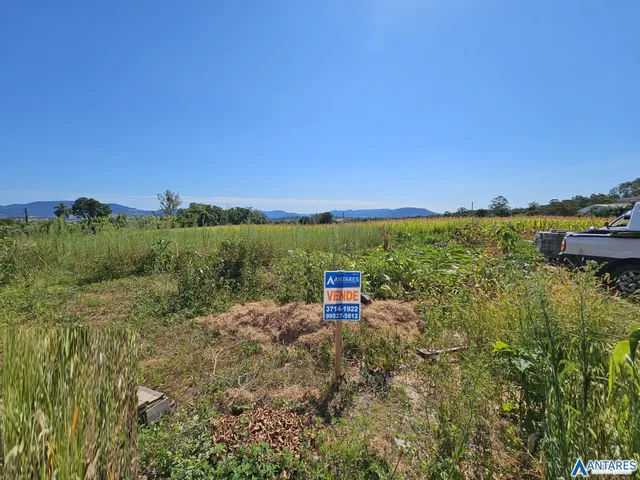 Terreno, foto 2
