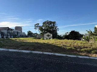 Terreno, foto 3