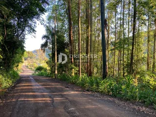 Área rural, foto 16