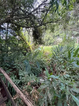 Área rural com 2 dormitórios, foto 7