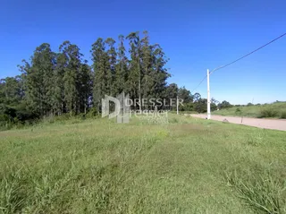Terreno, foto 2
