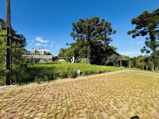 Paisagem de campo com vegetação densa e céu azul.