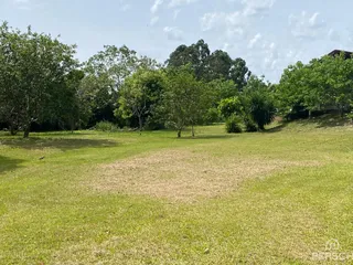 Área rural com 3 dormitórios, foto 9