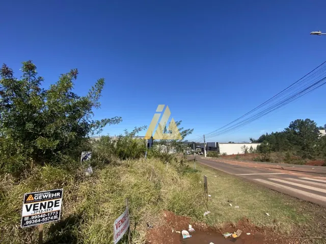 Terreno, foto 3