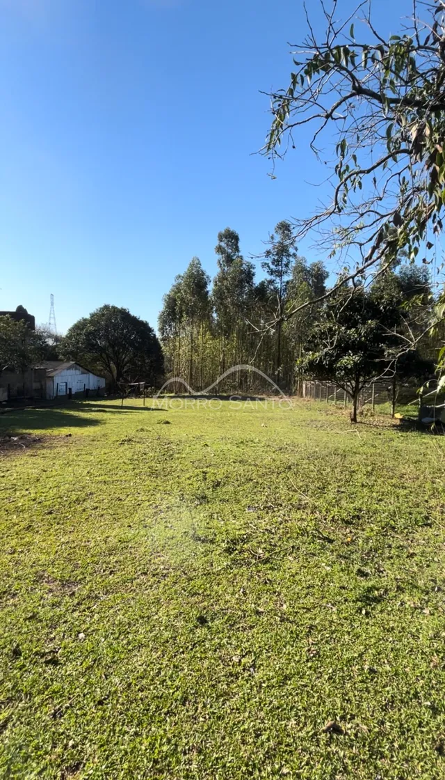 Campo gramado com árvores ao fundo sob um céu azul claro.