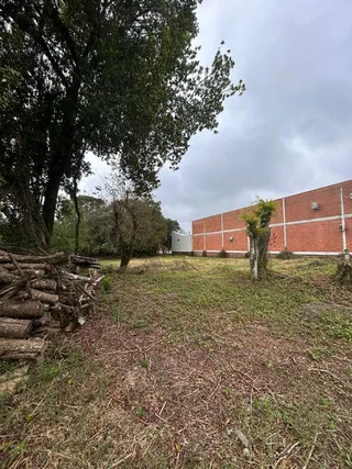 Terreno, foto 5