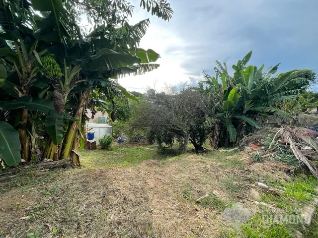 Terreno, foto 2