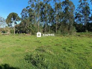 Terreno, foto 2
