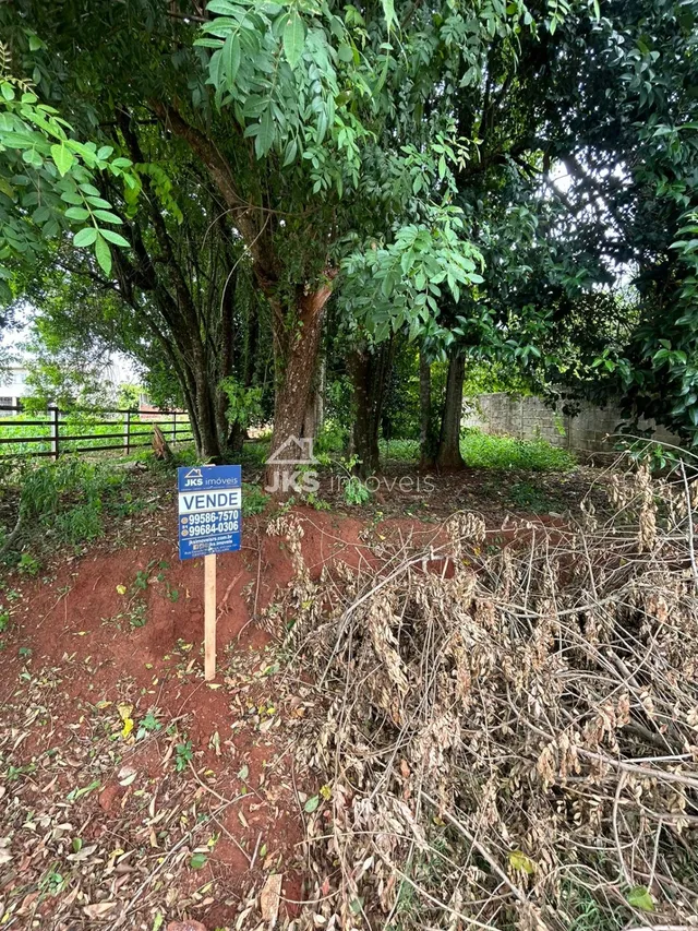 Terreno, foto 5
