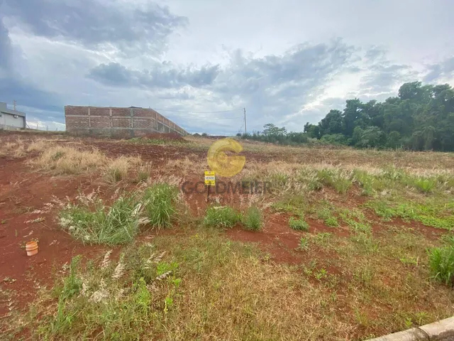 Terreno