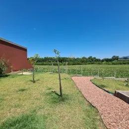 Casa com 2 dormitórios, foto 28